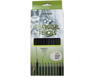 12pcs Charcoal Pencils Artist Drawing Sketching Shading