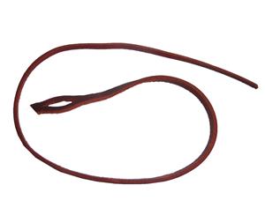 Australian Made Whip Falls Cracker Redhide Single Whip End 70Cm - Brown