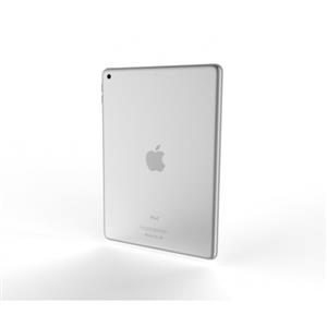 Cygnett - CY2645CPAEG - 9.7" iPad Slim Protective Case