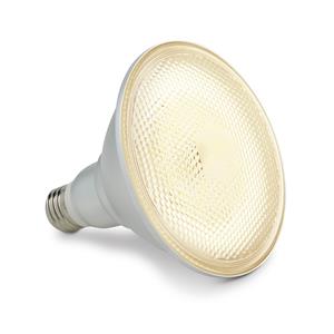 HPM PAR38 LED Lamp Globe