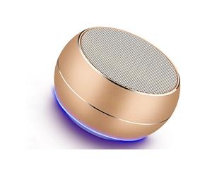 Portable Bluetooth Speakers with MicHands-free Function-Gold