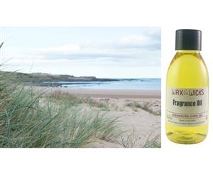 Wood Sage & Sea Salt - Fragrance Oil