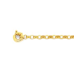 9ct Gold 19cm Solid Oval Belcher Bracelet with Bolt Ring