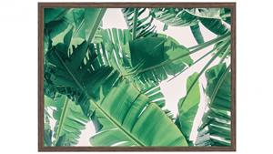 Banana Leaf Framed Print