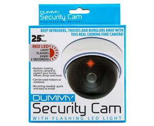 Dummy Security Cam w/ Flashing LED Light