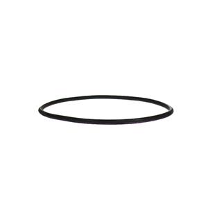 Hy-Clor Cartridge Filter Replacement O'Ring For Lid
