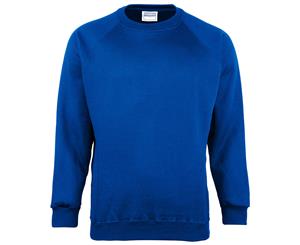 Maddins Kids Unisex Coloursure Crew Neck Sweatshirt / Schoolwear (Pack Of 2) (Royal) - RW6862