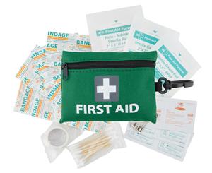 Mini First Aid Kit 43-Piece Set