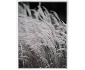 Pampas Grass II canvas art print - 75x100cm - White