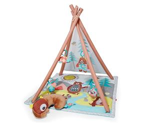 Skip Hop Camping Cubs Baby Kids Activity Gym