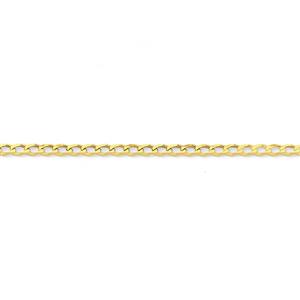 9ct 25cm Solid Curb Anklet