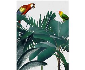 Parrot Palms canvas art print - 75x100cm - None