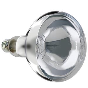 Arlec 275W 1150lm Warm White E27 Incandescent Heat Lamp