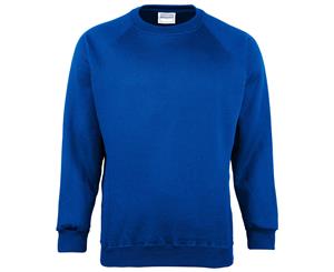 Maddins Kids Unisex Coloursure Crew Neck Sweatshirt / Schoolwear (Royal) - RW841