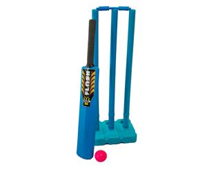 Plastic Beach Cricket Set Bat ball stumps - Blue