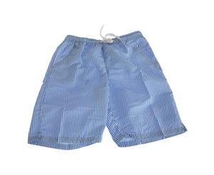 Soulstar Mens Splendor Striped Long Board/Swim Shorts (Blue) - SWIM623
