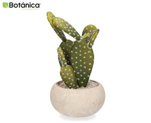 Botanica Cactus in Grey Concrete Pot Artificial Plant