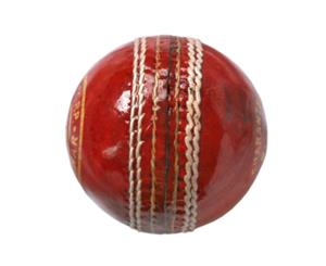 Dixon Leather Cricket Ball Official size - Red