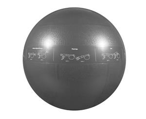 GoFit Proball 75cm Unisex Professional Grade Stability Exercise Ball (Silver)
