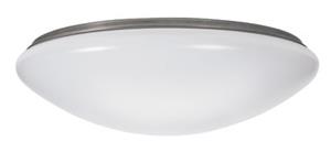 Odeon 1 Light Low Energy Fan Light in Stainless Steel with Opal Diffuser
