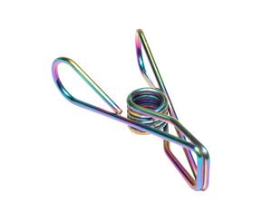 Rainbow Stainless Steel Infinity Clothes Pegs 20 Pack