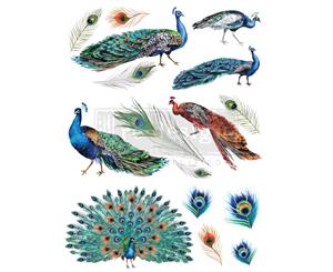 Transfer - Peacock Dreams