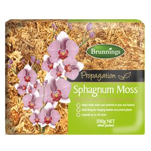 Brunnings 500g Sphagnum Moss Propagation Block