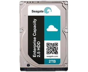 Seagate 2.5" 2TB Enterprise Capacity (Exos) SAS 12Gb/s 7.2K RPM 128M 512e