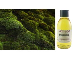 Amber Teak & Moss - Fragrance Oil