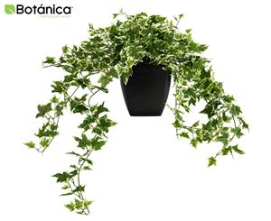 Botanica 76cm Light Green Ivy Artificial Plant