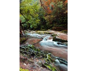 Waterfall Stream in Autumn Canvas Print
