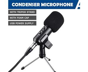 Yescom BM300 Audio Condenser Microphone USB Power Supply Studio Sound Broadcast Stand