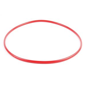 Aquapro Replacement Pressure Filter Lid O-Ring