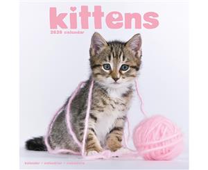 Kittens 2020 Wall Calendar - Closed Size  30 x 30 cm (12 x 12 Inches)