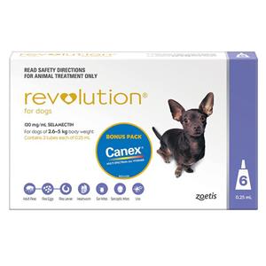 Revolution for Dogs Purple 2.6 - 5 kg 6 pack