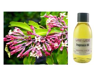 Sandalwood & Honeysuckle Leaf - Fragrance Oil