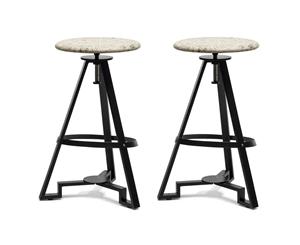 Set of 2 - Iron Swivel Modern Indoor Bar Stool with Printed Padded Top - Adjustable Height