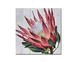 French Country Stretched Canvas Print Large PROTEA Painted Print 50x50cm New