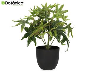 Botanica 24cm Green Maple Artificial Plant