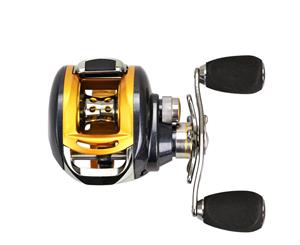 Catzon 12+1BB wheel Fishing reel Metal wire cup Speed Ratio 6.2 1(AOC) Right Hand