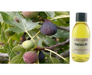 Fig Tree - Fragrance Oil