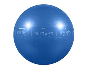 GoFit Proball 55cm Unisex Professional Grade Stability Exercise Ball (Blue)