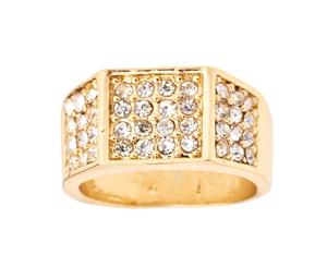 Iced Out Bling Hip Hop Designer Ring - EDGY CZ gold