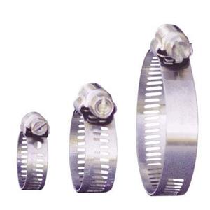 Blueline Stainless Steel Hose Clamp 21-38mm