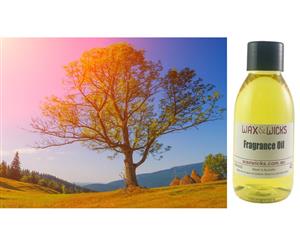 Alpine Oak & Vetiver - Fragrance Oil