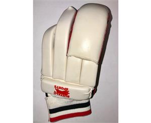 Buffalo Sports YLH Cricket Batting Gloves