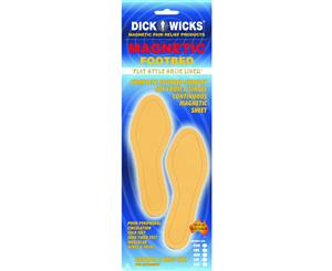 Footbed Shoe Liner with Magnets by Dick Wicks
