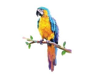 Exotic Macaw Watercolour Canvas Print