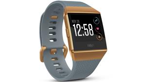 Fitbit Ionic Fitness Watch - Slate Blue/Burnt Orange