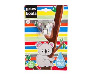 Grow A Koala Novelty Gift Fairy 6x Larger